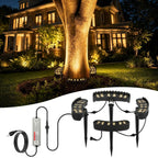 Give Your Trees a 360° Warm Glow