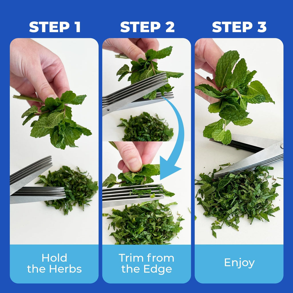 5-Blade Stainless Steel Herb Scissors with Cleaning Comb & Protective Cover
