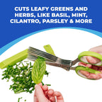 5-Blade Stainless Steel Herb Scissors with Cleaning Comb & Protective Cover